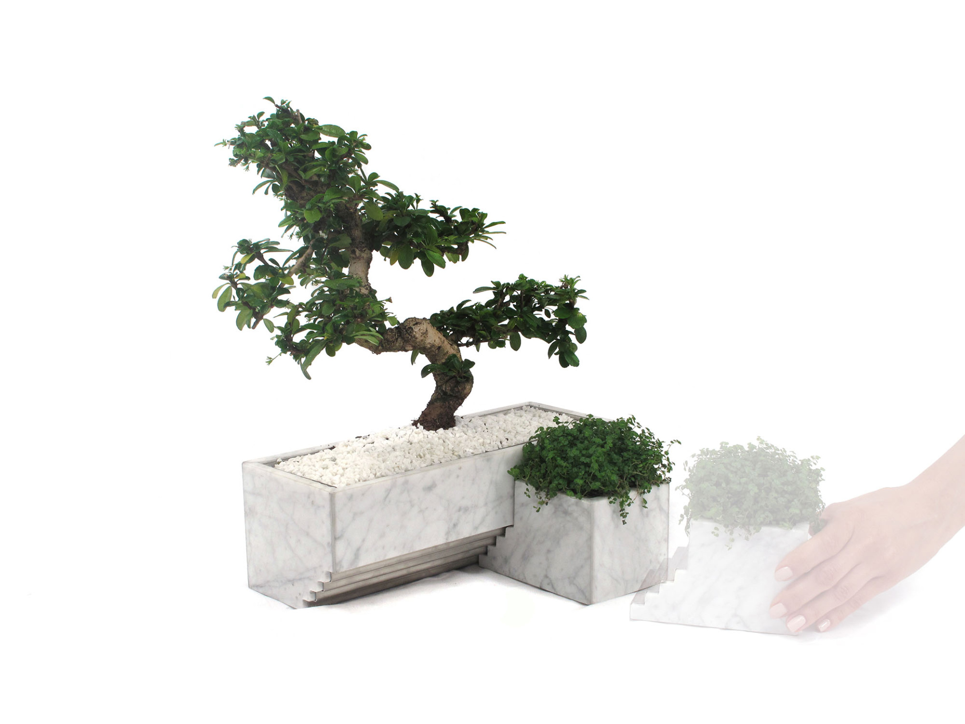 DESK-PLANTER